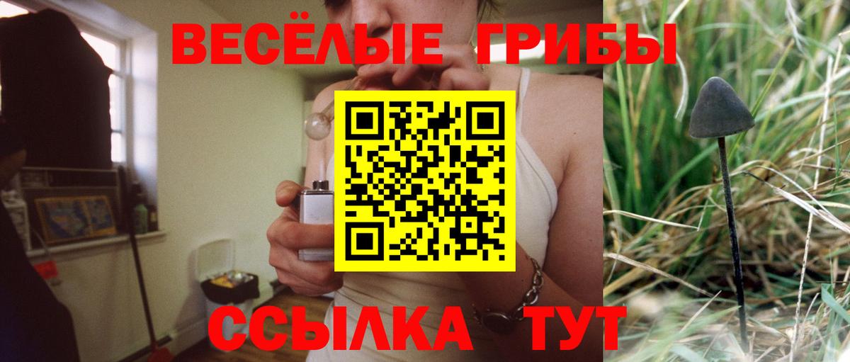 Псилоцибиновые грибы Cubensis Клин